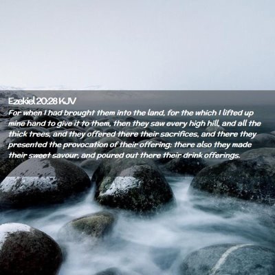 Picture 02 - Ezekiel 20:28 KJV - For when I had brought them into the land, for - Bible Verse Picture