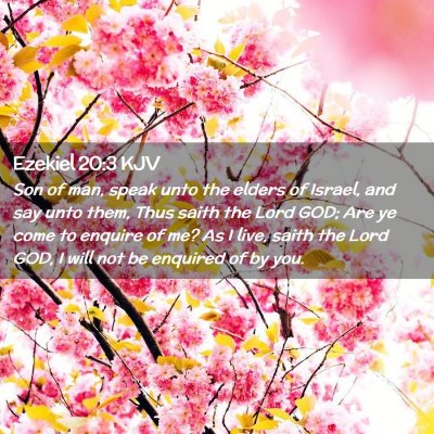 Picture 02 - Ezekiel 20:3 KJV - Son of man, speak unto the elders of Israel, and - Bible Verse Picture