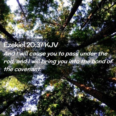 Picture 02 - Ezekiel 20:37 KJV - And I will cause you to pass under the rod, and I - Bible Verse Picture