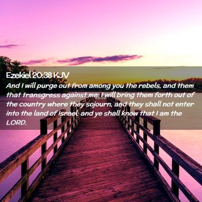 Picture 02 - Ezekiel 20:38 KJV - And I will purge out from among you the rebels, - Bible Verse Picture