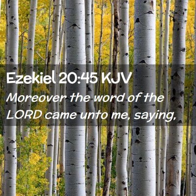 Picture 02 - Ezekiel 20:45 KJV - Moreover the word of the LORD came unto me, - Bible Verse Picture