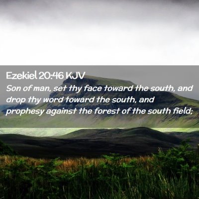 Picture 02 - Ezekiel 20:46 KJV - Son of man, set thy face toward the south, and - Bible Verse Picture