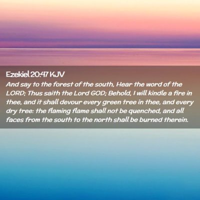 Picture 02 - Ezekiel 20:47 KJV - And say to the forest of the south, Hear the word - Bible Verse Picture