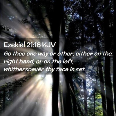 Picture 02 - Ezekiel 21:16 KJV - Go thee one way or other, either on the right - Bible Verse Picture