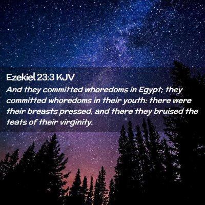 Picture 02 - Ezekiel 23:3 KJV - And they committed whoredoms in Egypt; they - Bible Verse Picture