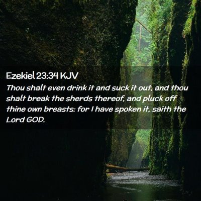 Picture 02 - Ezekiel 23:34 KJV - Thou shalt even drink it and suck it out, and - Bible Verse Picture