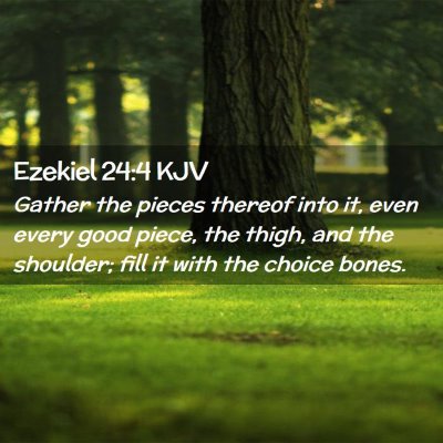 Picture 02 - Ezekiel 24:4 KJV - Gather the pieces thereof into it, even every - Bible Verse Picture