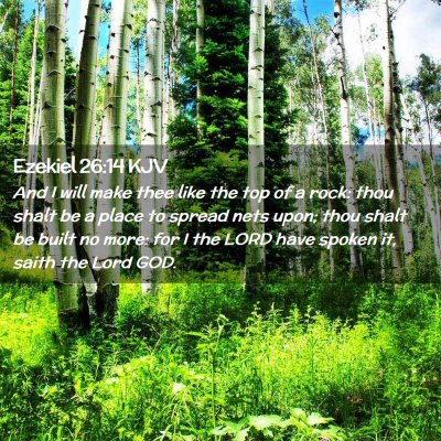 Picture 02 - Ezekiel 26:14 KJV - And I will make thee like the top of a rock: thou - Bible Verse Picture