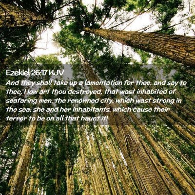 Picture 02 - Ezekiel 26:17 KJV - And they shall take up a lamentation for thee, - Bible Verse Picture