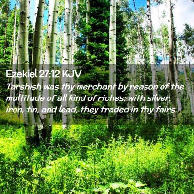 Picture 02 - Ezekiel 27:12 KJV - Tarshish was thy merchant by reason of the - Bible Verse Picture