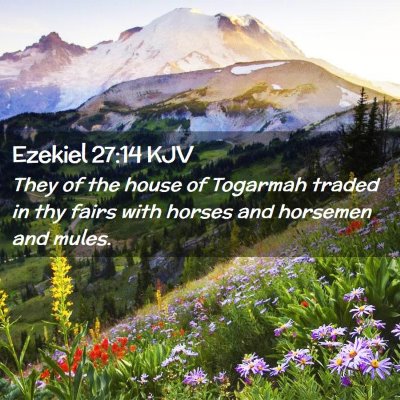 Picture 02 - Ezekiel 27:14 KJV - They of the house of Togarmah traded in thy fairs - Bible Verse Picture