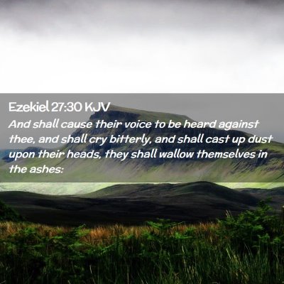 Picture 02 - Ezekiel 27:30 KJV - And shall cause their voice to be heard against - Bible Verse Picture