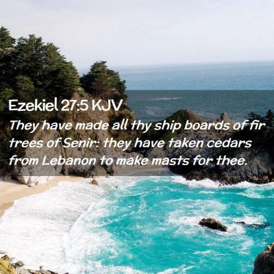 Picture 02 - Ezekiel 27:5 KJV - They have made all thy ship boards of fir trees - Bible Verse Picture