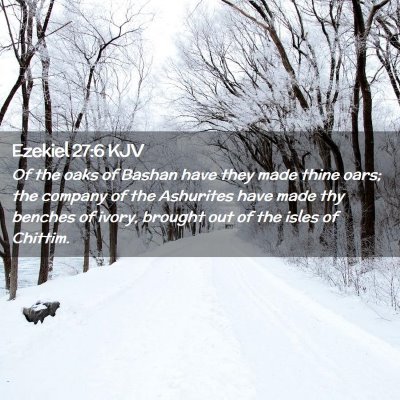 Picture 02 - Ezekiel 27:6 KJV - Of the oaks of Bashan have they made thine oars; - Bible Verse Picture