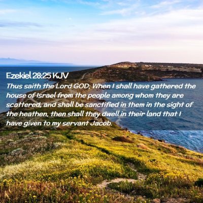 Picture 02 - Ezekiel 28:25 KJV - Thus saith the Lord GOD; When I shall have - Bible Verse Picture