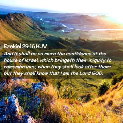 Picture 02 - Ezekiel 29:16 KJV - And it shall be no more the confidence of the - Bible Verse Picture