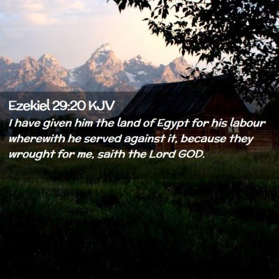 Picture 02 - Ezekiel 29:20 KJV - I have given him the land of Egypt for his labour - Bible Verse Picture