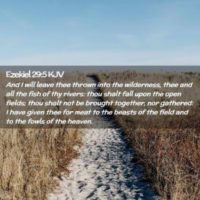 Picture 02 - Ezekiel 29:5 KJV - And I will leave thee thrown into the wilderness, - Bible Verse Picture