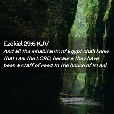 Picture 02 - Ezekiel 29:6 KJV - And all the inhabitants of Egypt shall know that - Bible Verse Picture