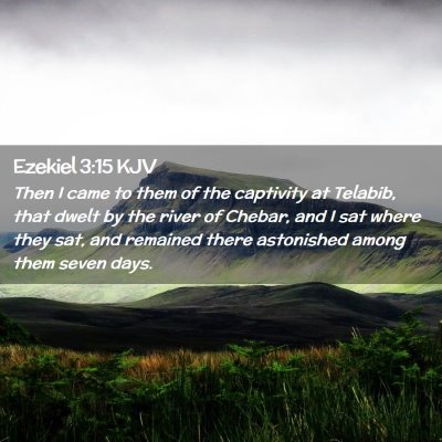Picture 02 - Ezekiel 3:15 KJV - Then I came to them of the captivity at Telabib, - Bible Verse Picture