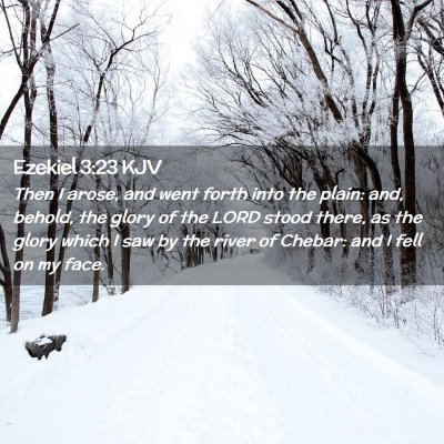 Picture 02 - Ezekiel 3:23 KJV - Then I arose, and went forth into the plain: and, - Bible Verse Picture
