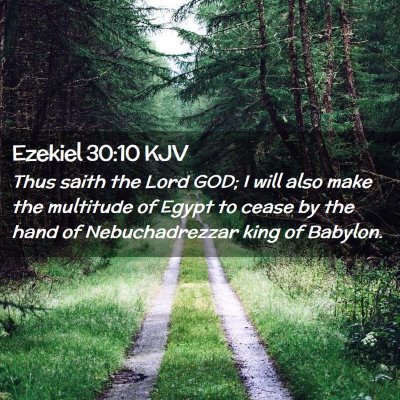 Picture 02 - Ezekiel 30:10 KJV - Thus saith the Lord GOD; I will also make the - Bible Verse Picture