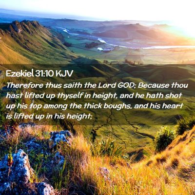 Picture 02 - Ezekiel 31:10 KJV - Therefore thus saith the Lord GOD; Because thou - Bible Verse Picture