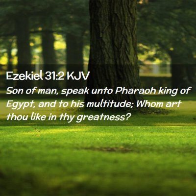 Picture 02 - Ezekiel 31:2 KJV - Son of man, speak unto Pharaoh king of Egypt, and - Bible Verse Picture