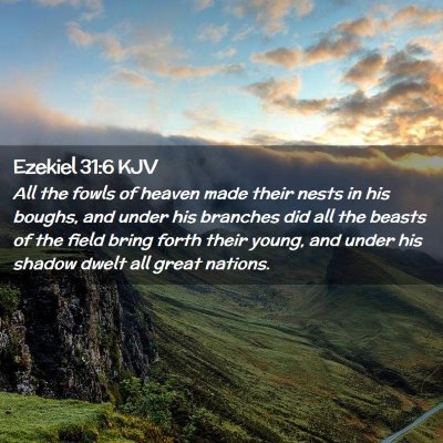 Picture 02 - Ezekiel 31:6 KJV - All the fowls of heaven made their nests in his - Bible Verse Picture
