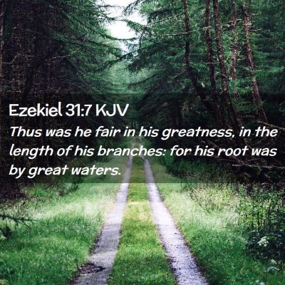 Picture 02 - Ezekiel 31:7 KJV - Thus was he fair in his greatness, in the length - Bible Verse Picture