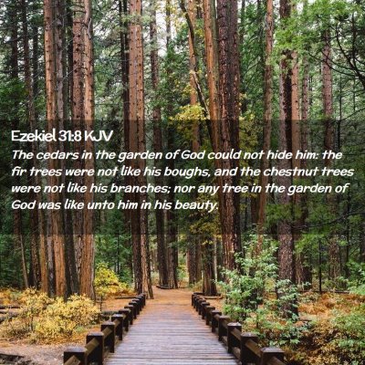 Picture 02 - Ezekiel 31:8 KJV - The cedars in the garden of God could not hide - Bible Verse Picture