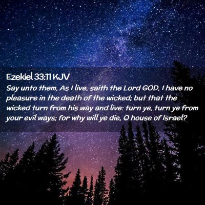 Picture 02 - Ezekiel 33:11 KJV - Say unto them, As I live, saith the Lord GOD, I - Bible Verse Picture