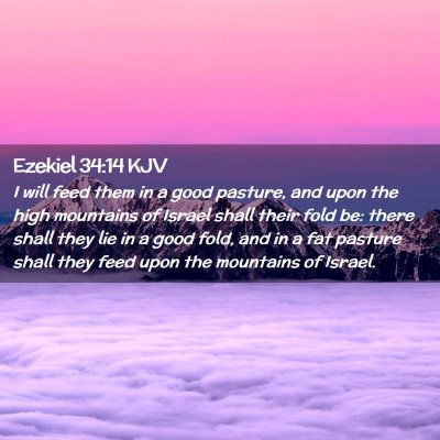 Picture 02 - Ezekiel 34:14 KJV - I will feed them in a good pasture, and upon the - Bible Verse Picture