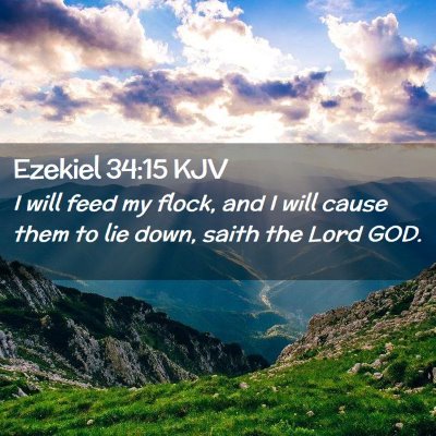 Picture 02 - Ezekiel 34:15 KJV - I will feed my flock, and I will cause them to - Bible Verse Picture
