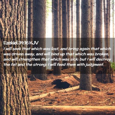 Picture 02 - Ezekiel 34:16 KJV - I will seek that which was lost, and bring again - Bible Verse Picture