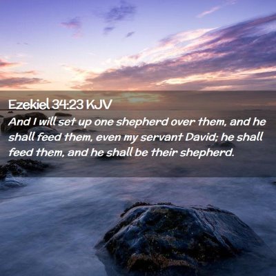 Picture 02 - Ezekiel 34:23 KJV - And I will set up one shepherd over them, and he - Bible Verse Picture