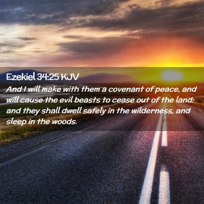 Picture 02 - Ezekiel 34:25 KJV - And I will make with them a covenant of peace, - Bible Verse Picture