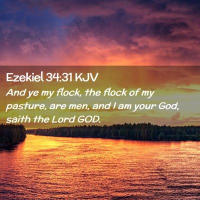 Picture 02 - Ezekiel 34:31 KJV - And ye my flock, the flock of my pasture, are - Bible Verse Picture