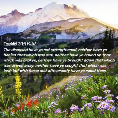 Picture 02 - Ezekiel 34:4 KJV - The diseased have ye not strengthened, neither - Bible Verse Picture