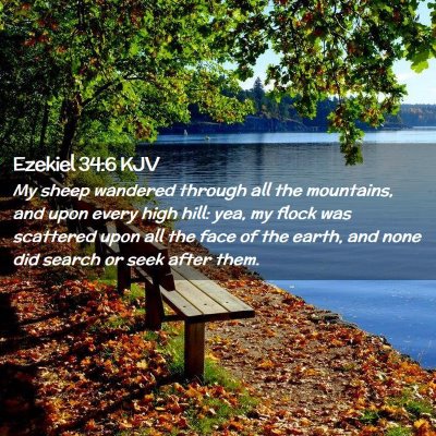 Picture 02 - Ezekiel 34:6 KJV - My sheep wandered through all the mountains, and - Bible Verse Picture