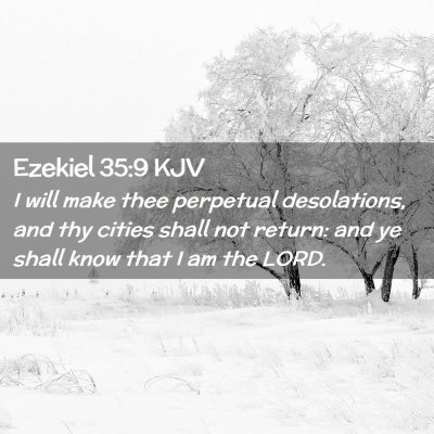 Picture 02 - Ezekiel 35:9 KJV - I will make thee perpetual desolations, and thy - Bible Verse Picture
