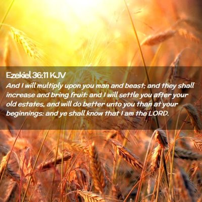 Picture 02 - Ezekiel 36:11 KJV - And I will multiply upon you man and beast; and - Bible Verse Picture