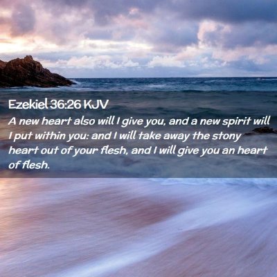 Picture 02 - Ezekiel 36:26 KJV - A new heart also will I give you, and a new - Bible Verse Picture