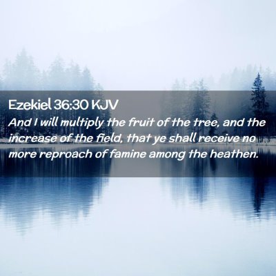 Picture 02 - Ezekiel 36:30 KJV - And I will multiply the fruit of the tree, and - Bible Verse Picture