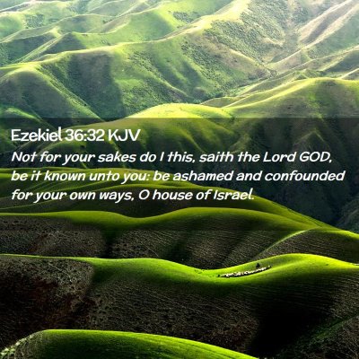 Picture 02 - Ezekiel 36:32 KJV - Not for your sakes do I this, saith the Lord GOD, - Bible Verse Picture