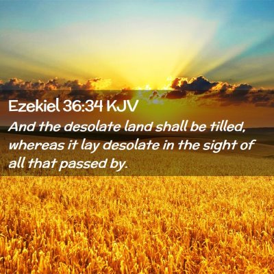 Picture 02 - Ezekiel 36:34 KJV - And the desolate land shall be tilled, whereas it - Bible Verse Picture