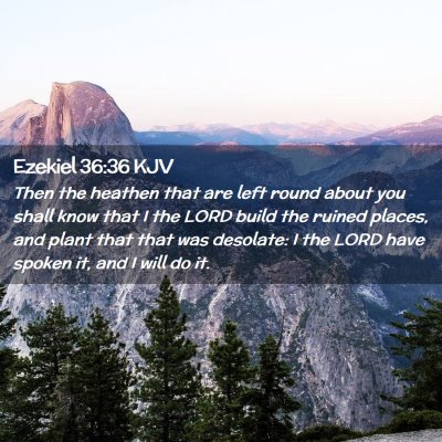Picture 02 - Ezekiel 36:36 KJV - Then the heathen that are left round about you - Bible Verse Picture