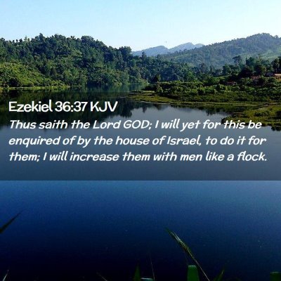 Picture 02 - Ezekiel 36:37 KJV - Thus saith the Lord GOD; I will yet for this be - Bible Verse Picture