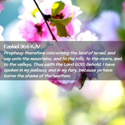 Picture 02 - Ezekiel 36:6 KJV - Prophesy therefore concerning the land of Israel, - Bible Verse Picture