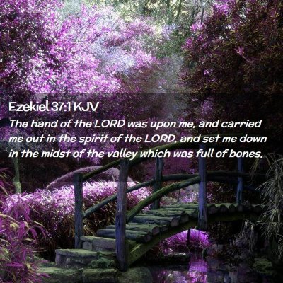 Picture 02 - Ezekiel 37:1 KJV - The hand of the LORD was upon me, and carried me - Bible Verse Picture